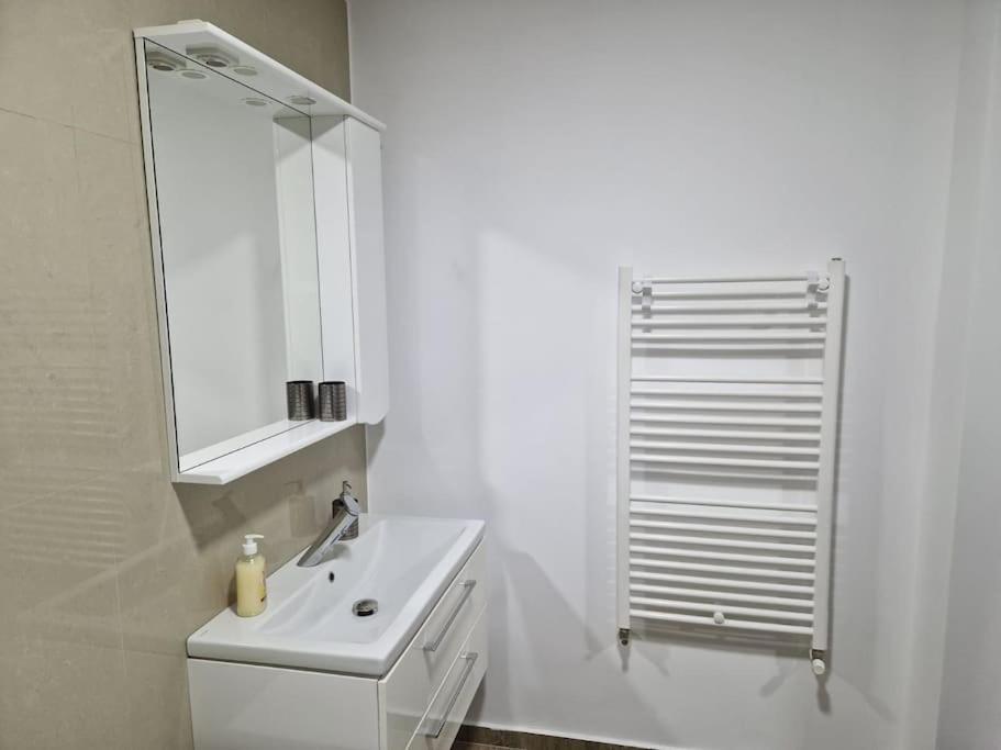 Danube Double Apartment Brăila Exterior photo