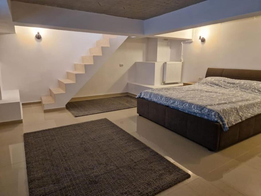 Danube Double Apartment Brăila Exterior photo